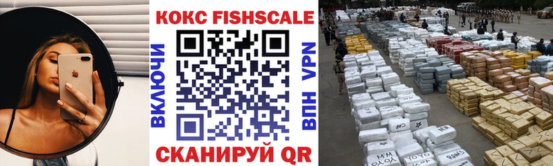 Кокаин FishScale  Грязи 