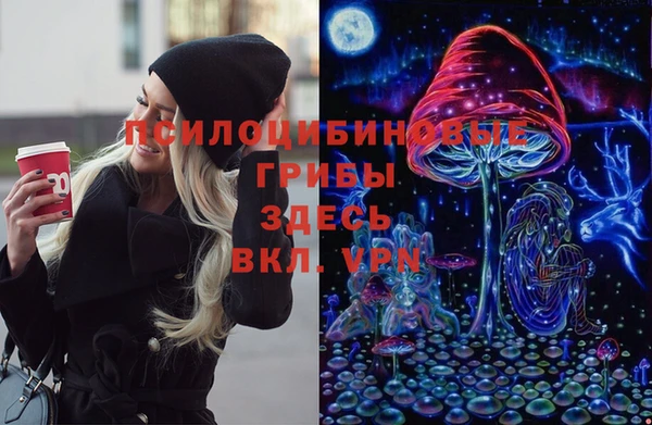скорость Абаза