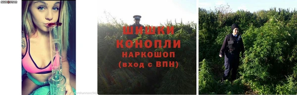 каннабис Абинск