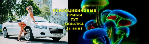 шишки Алексеевка