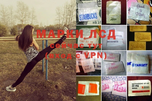 шишки Алексеевка