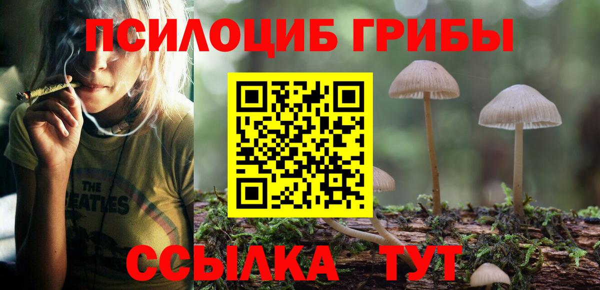 Псилоцибиновые грибы ЛСД  Псилоцибиновые грибы мухоморы  Грязи  где найти   Вход с VPN 