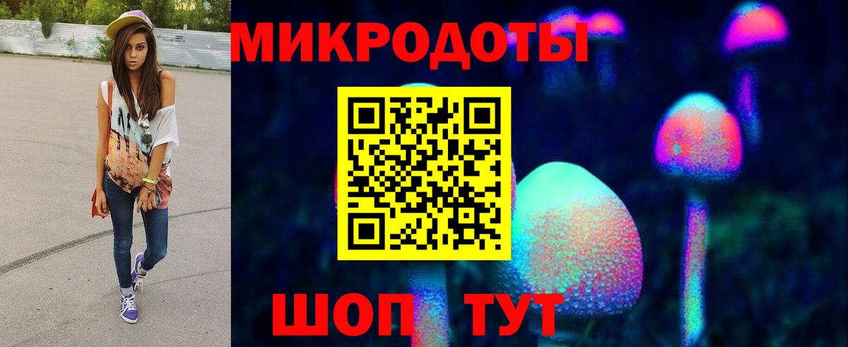 Псилоцибиновые грибы Psilocybe Грязи